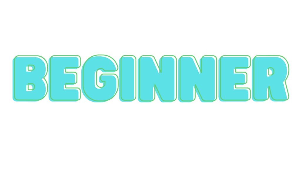 Beginner – Virtually Fluent